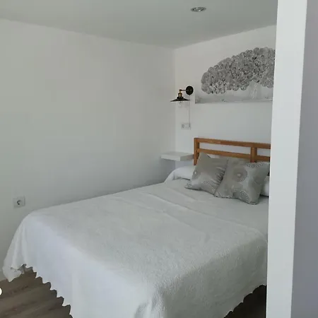 Vut Dalia * Ávila